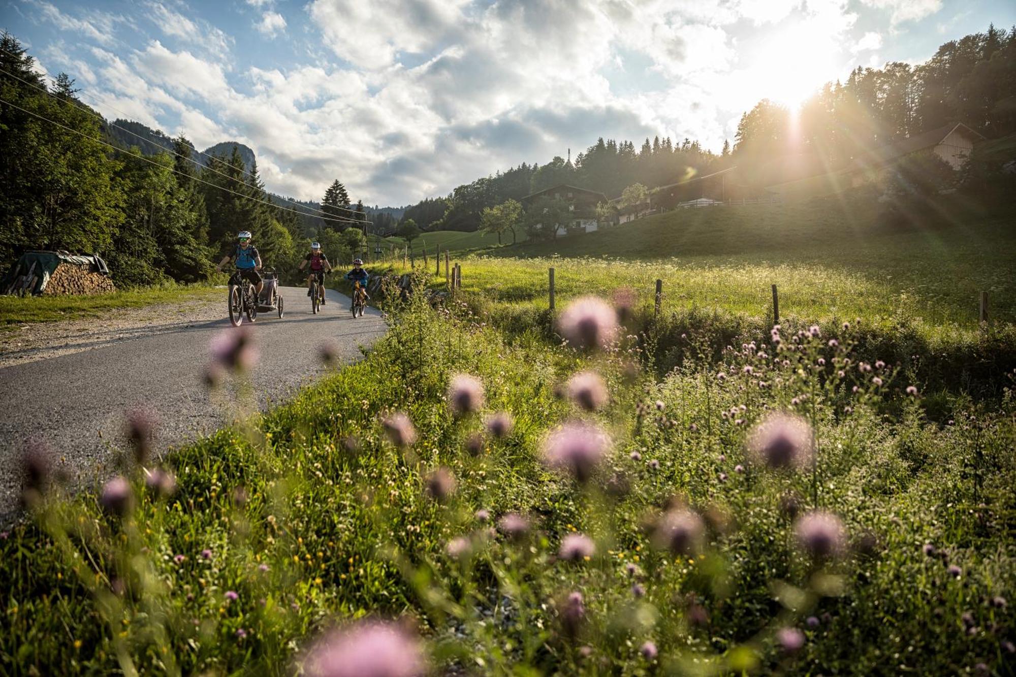 Dorfcafe Unken Hotelpension Swirtshaus Im Dorf Экстерьер фото